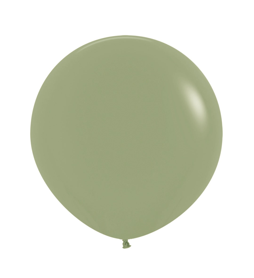 Sempertex R24 Fashion Eucalyptus Latex Balloon – (1 Piece)