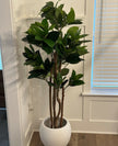 Encanto Artificial Rubber Potted Plant (Multiple Sizes)