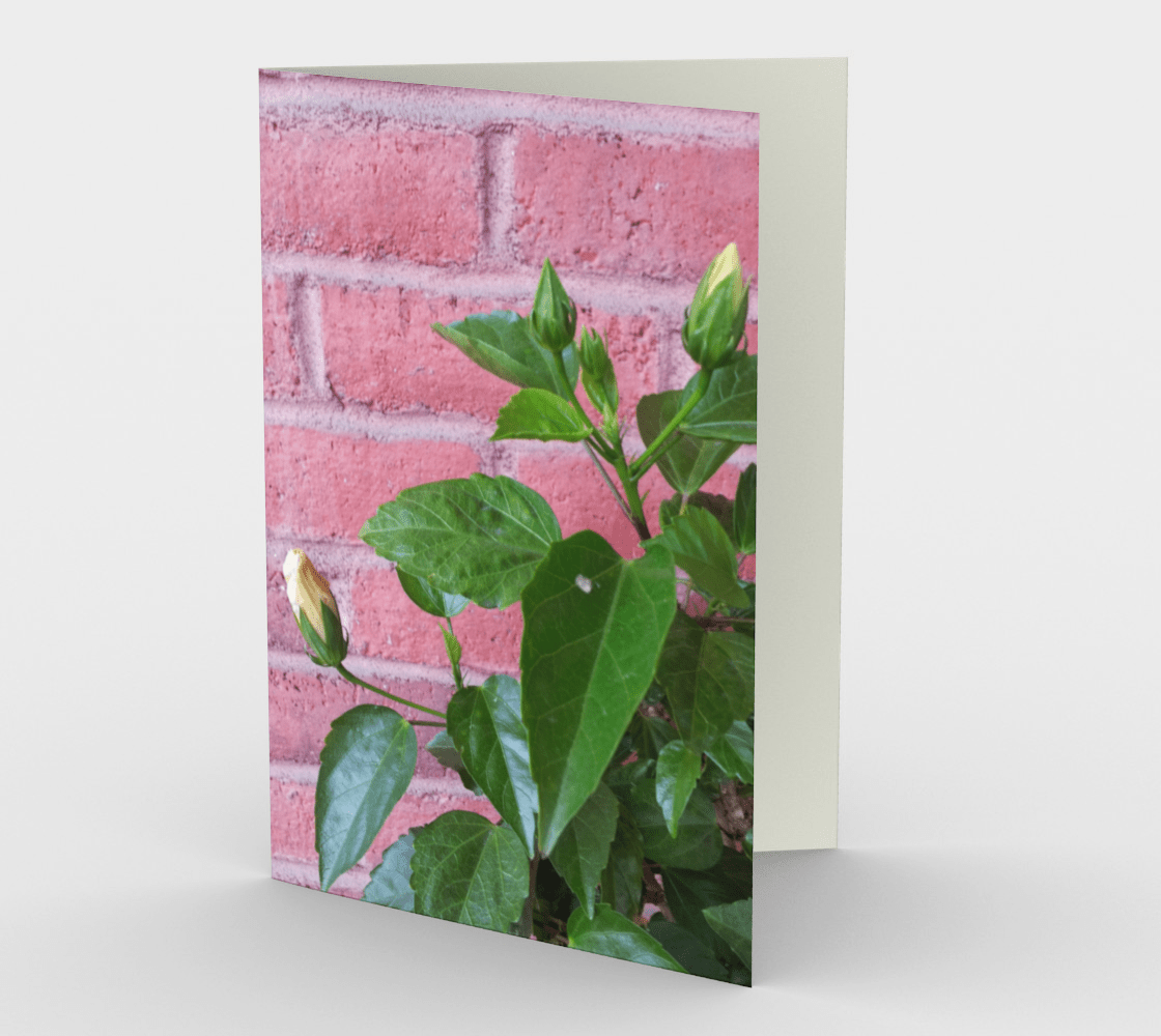 Set of 3 Blank Greeting Cards | 5 x 7 | Flower Buds