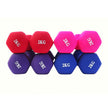 Yoga Dumbbell for Women – Round Compact Fitness Weight