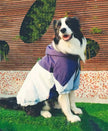 Reflective Dog Rain Jacket | Waterproof Dog Jacket