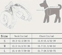 Shannon Collar & Leash Set | Dog Collar and Leash