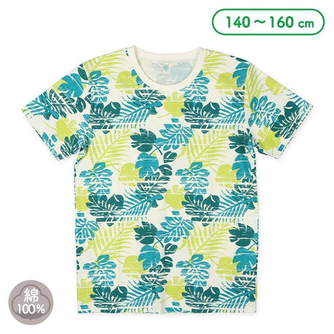 [Produit authentique Nishimatsuya] MD Botanical Sogara T3