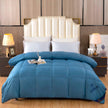 Downfull Spring And Autumn Winter Duvet Thickened Velvet Quilt Comforter