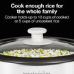 PROCTOR SILEX 37533G 10 cup capacity, rice cooker & food steamer