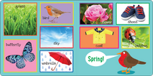 Peter Pauper Press - My First 101 WORDS Board Book
