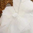 Birthday Photo Clothes Women's Tulle Tutu Super Fairy Princess Dress Girls Bow gown Christening dress Baptism dress