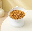Oversize Cat Food Bowl — Durable Plastic Pet Dish in 6 Colors