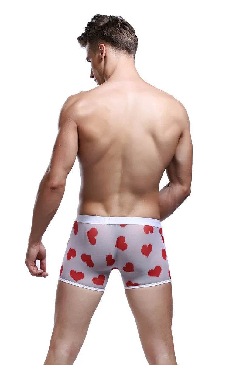 Spandex Mesh Printed Pouch boxer briefs  underwear men