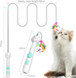 2-in-1 Cat Toy Rechargeable Laser Pointer & Feather Wand for Indoor Cats – Canada & USA