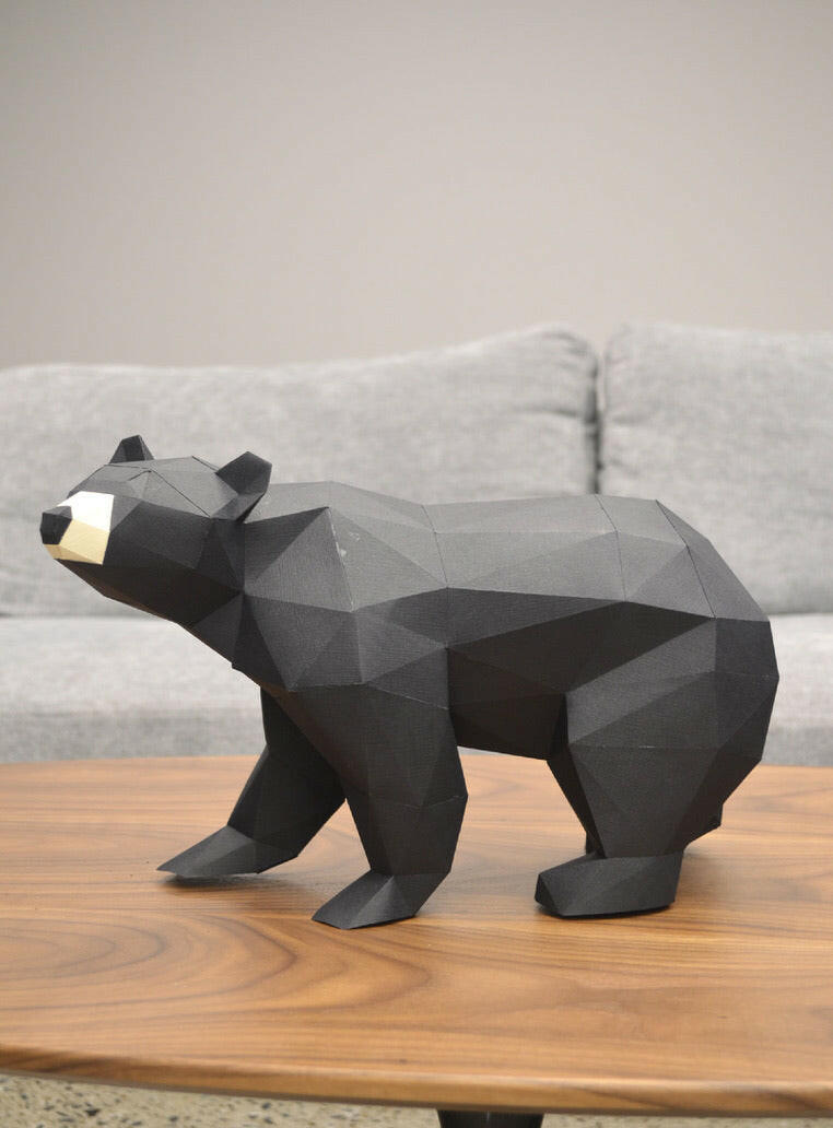 Black Bear