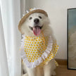 Summertime Happiness Dress Set – Luxury Large Breed Dog Dress with Hat