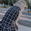 Chewnel Dress