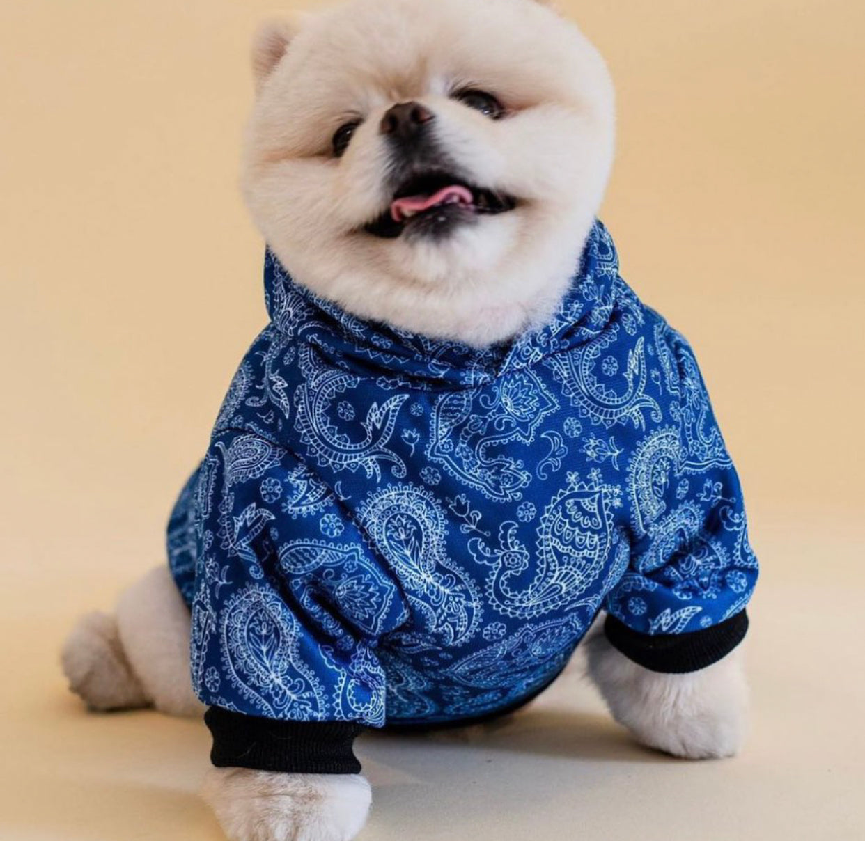Bandana Print Dog Hoodie | Pet Hoodie