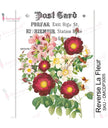 Dress My Craft Reverse Transfer Me - La Fleur