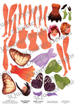 3Quarter Designs - Mini Project Sheets - Magic Fairies
