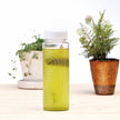 Morihan Genmaicha with Uji Matcha Tea [Best Before Date: 2024.12.06]