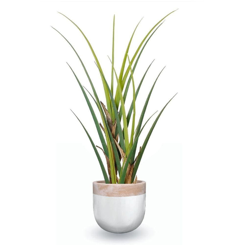 Camilo Glazed Planter 12''