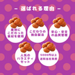 Maruka Kishu Plum & Red Shisho Tempura Seaweed Snack (68G) [Best Before Date: 2025.05.25]