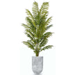 Xaca Cement Planter 10''