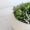 Zed Faux Succulent Arrangement in Low White Pot 7.1