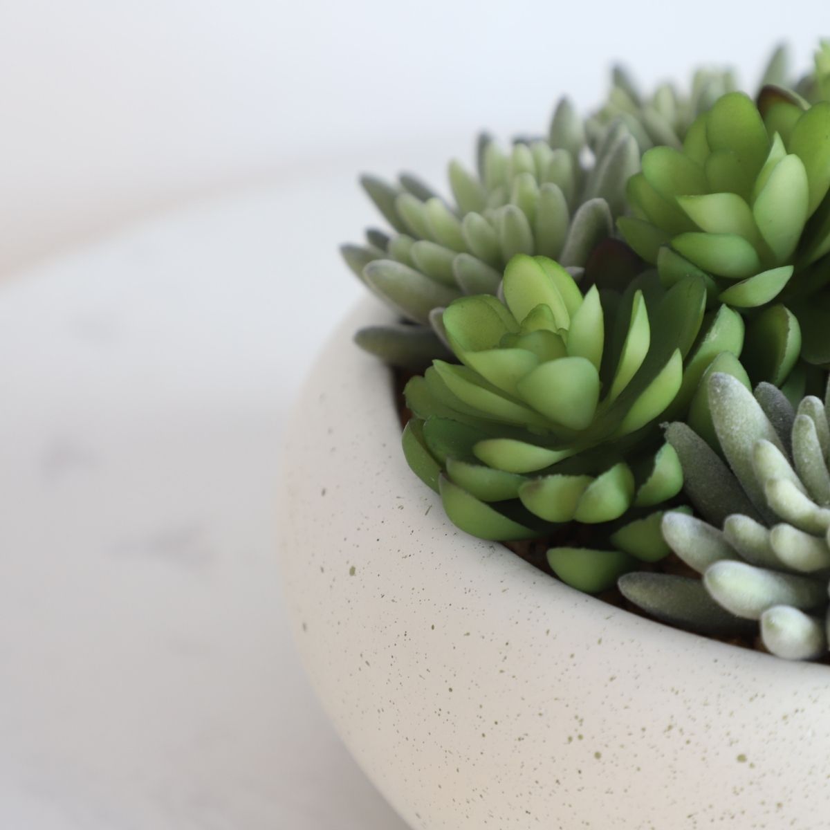 Zed Faux Succulent Arrangement in Low White Pot 7.1
