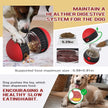 Dog Oval Slow Feeder Toy