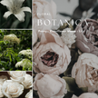 Fresh & Floral  Candle Collection