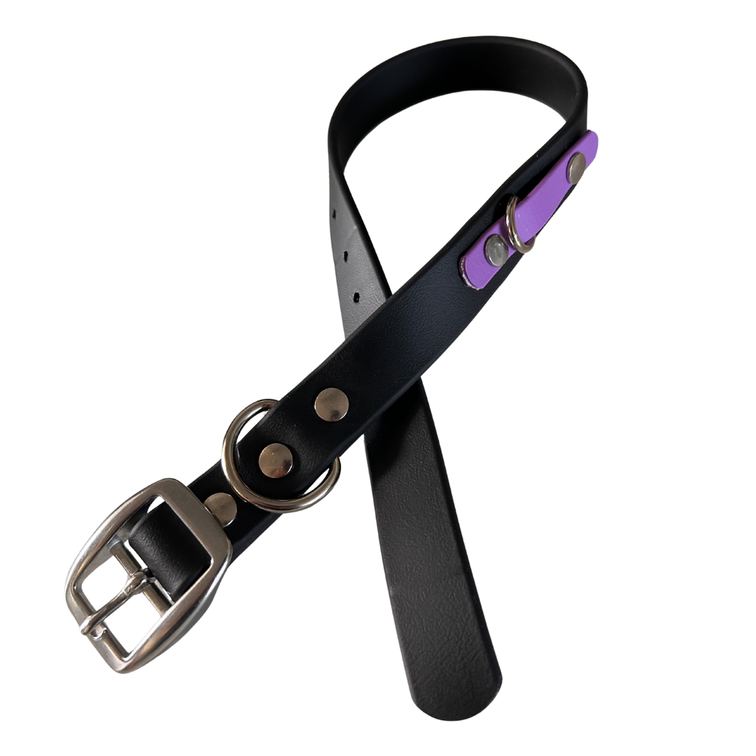Promo Spéciale sur le Collier standard 1