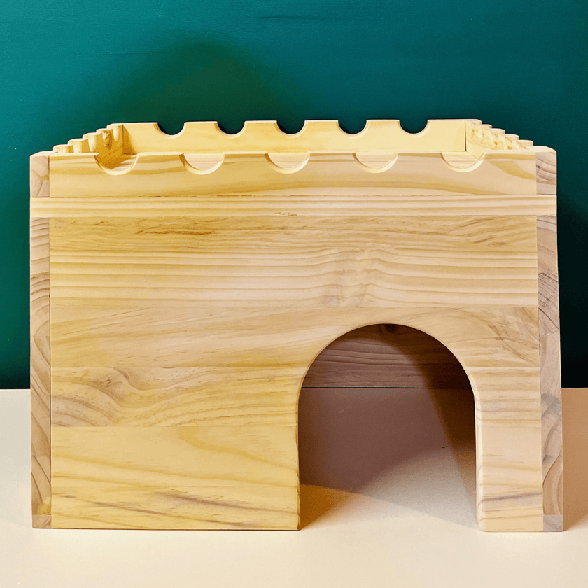 Large Hidey Castle
