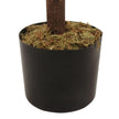 Sandy Potted Boxwood Topiary Plant 4.3'