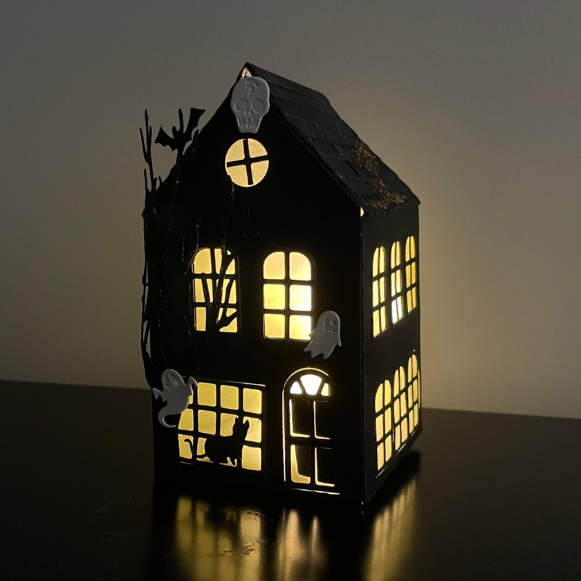 LIGHT-UP HOUSE