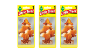 Little Trees Car Air Freshener Warm Pumpkin Spice (Bundle of 3)