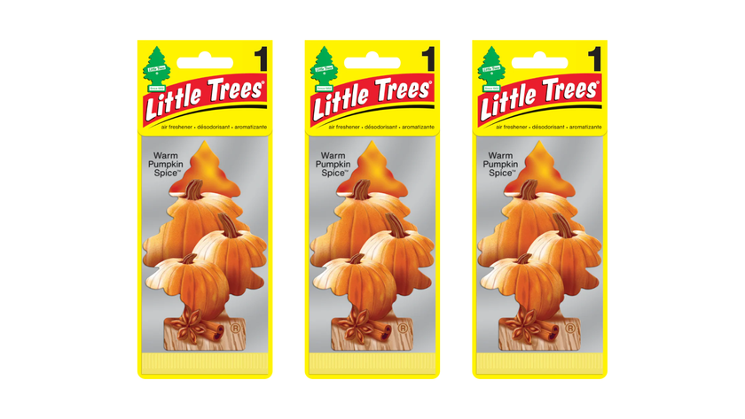 Little Trees Car Air Freshener Warm Pumpkin Spice (Bundle of 3)