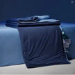 Four Seasons Winter Quilt Duvet Insert Double Layer