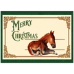 Sleepy Foal Christmas Card – Premium Pack of 10 Greeting Cards