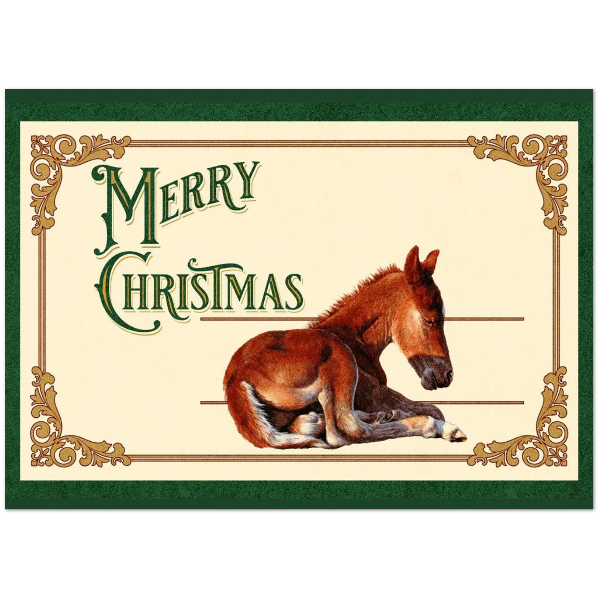 Sleepy Foal Christmas Card – Premium Pack of 10 Greeting Cards