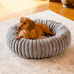 Round Plush Pet Bed – Fluffy Rabbit Fur Cat & Dog Mat, Washable Winter Warm