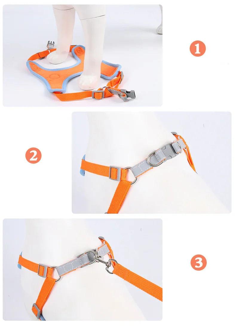Reflective Soft Mesh Dog & Cat Harness with Leash Set – Blue, Green, Orange, Purple, Red, Grey | S–XL