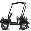 PREORDER 2026 Golf Cart 4 Seater 24V 4X4 Kids Ride On Car with Remote Control