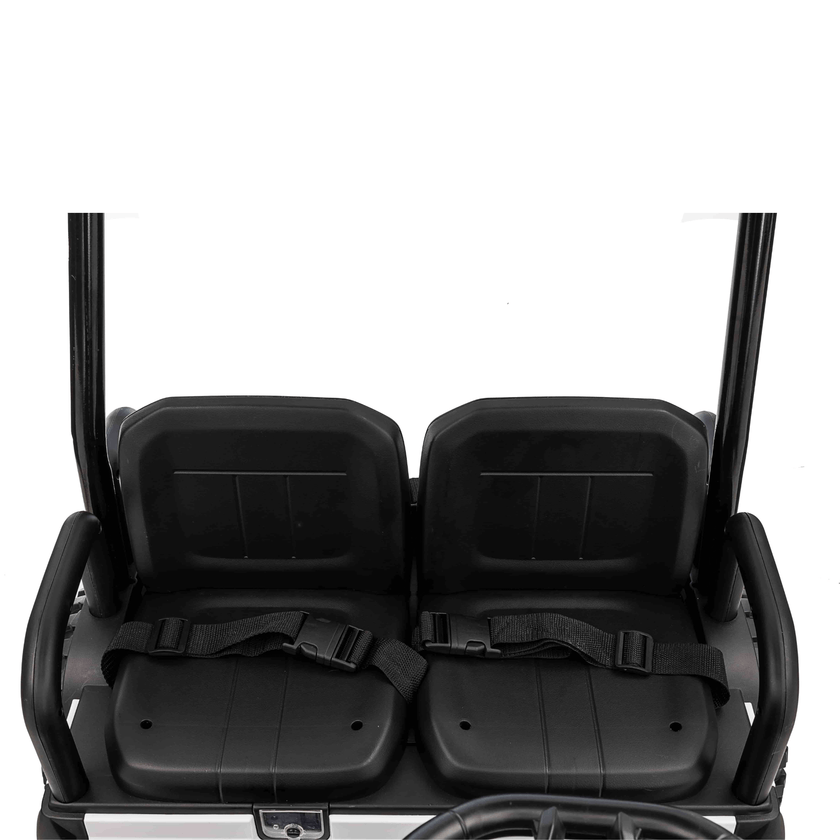 PREORDER 2026 Golf Cart 4 Seater 24V 4X4 Kids Ride On Car with Remote Control