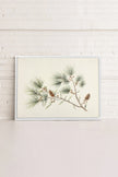 Conifer Branch, Oeuvre sur toile étirée