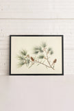 Conifer Branch, Oeuvre sur toile étirée