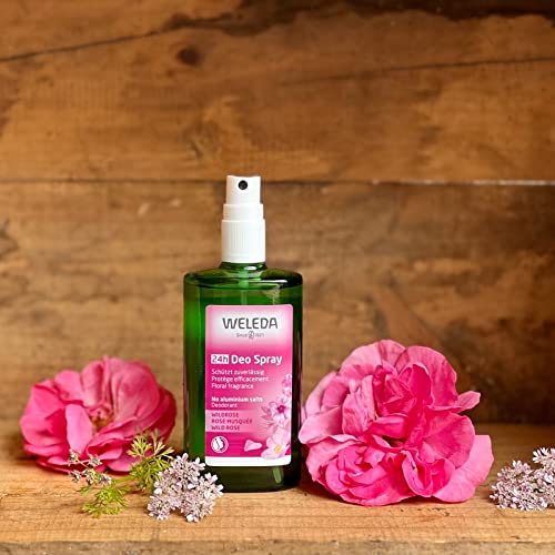 Weleda - Wild Rose 24H Deodorant Spray (100ml)