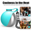 Portable Dog Water Bottle 10oz Stainless Steel Travel Dog Water Dispenser With Bowl No-Spill Puppy Water Bottle For Walking Hiking Small Dog Water Bottle