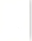 Foundation Cardstock  25 shts 220 gsm - Milk White