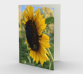 Set of 3 Blank Greeting Cards | 5 x 7 | Sunflower