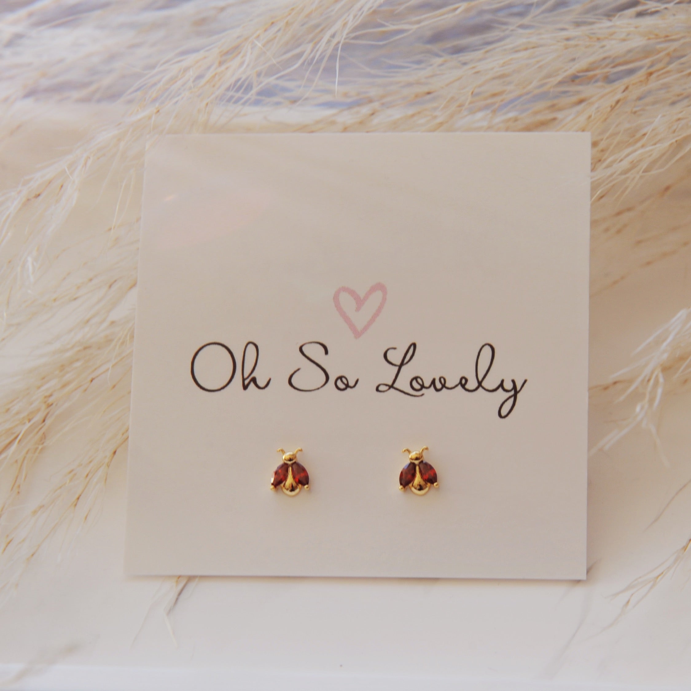 Ladybug