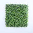 Valencia (box of 12)