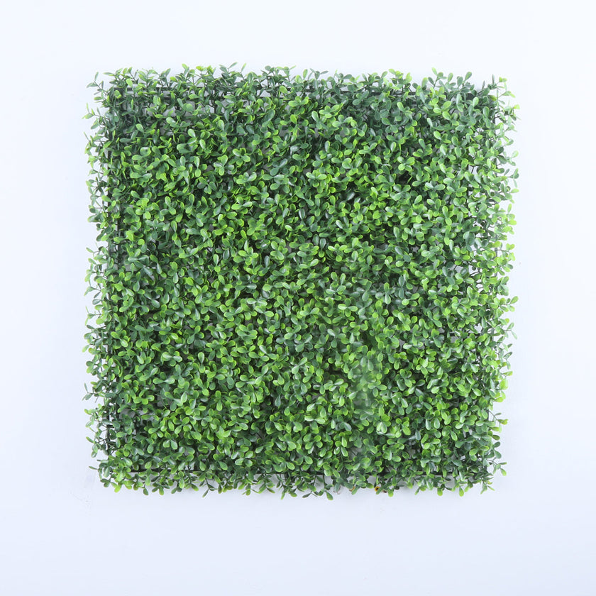 Valencia (box of 12)